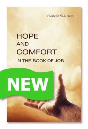 Hope and Comfort In the book of job