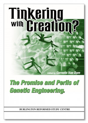 Tinkering with Creation?